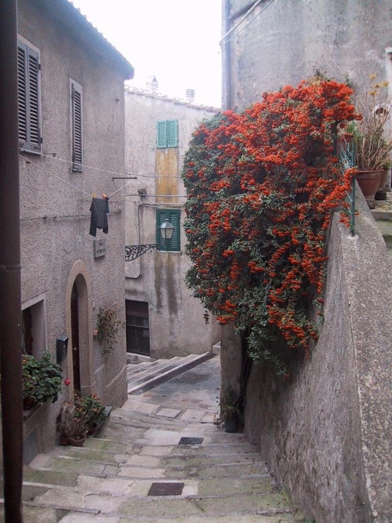 Hotel Locanda La Pieve Semproniano Exterior foto